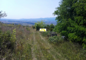 teren-intravilan-8km-de-alba-iulia-panoramic-zona-linistita