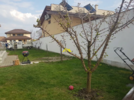 vand-casa-zona-schit-1