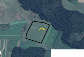 vand-teren-extravilan-in-localitatea-cergaul-mare-judetul-alba-1