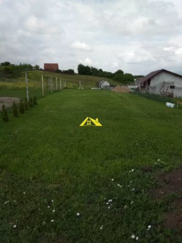 vand-teren-intravilan-in-ciugud-limba-1