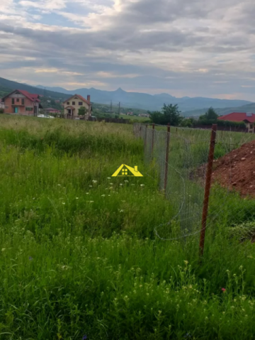 vand-teren-intre-alba-si-micesti-2