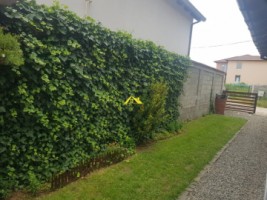 casa-3-camere-orizont-7