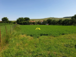 vand-loc-de-casa-si-gradina