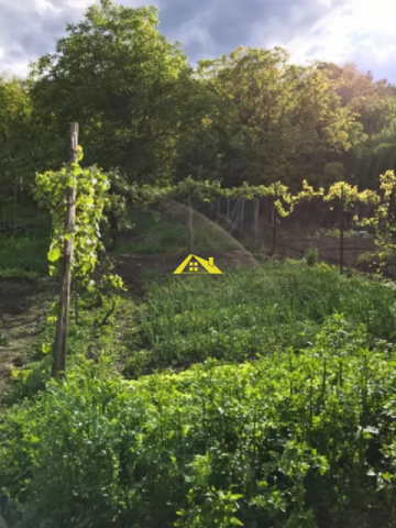 proprietate-cu-potential-enorm-2909-m-patrati-6