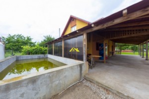 casa-plus-ferma-4