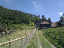 teren-intravilan-martinie-1