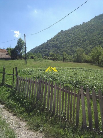 teren-intravilan-martinie-3