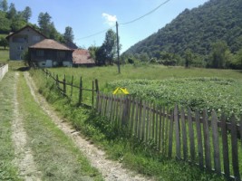 teren-intravilan-martinie-5