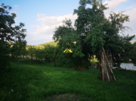 vand-casa-veche-2
