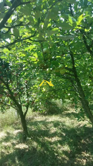 teren-intravilan-cu-cabana-de-vanzare