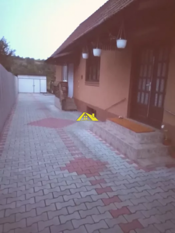 casa-cu-gradina-de-vinzare-in-valea-lunga-judalba