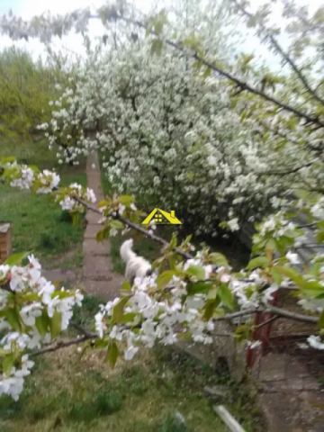 vind-teren-intravilan-zona-rezidentiala-cu-toate-utilitatile