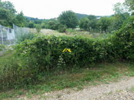 teren-intravilan-2
