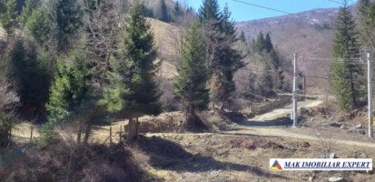 teren-extravilan-175-ha-de-vanzare-rucar-rausor-arges-ideal-pentru-proiecte-agricole-extinse-sau-turism-rural-1