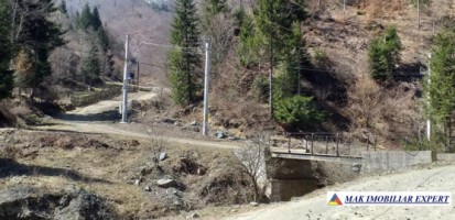 teren-extravilan-175-ha-de-vanzare-rucar-rausor-arges-ideal-pentru-proiecte-agricole-extinse-sau-turism-rural-2