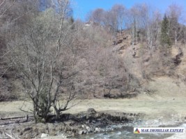 teren-extravilan-175-ha-de-vanzare-rucar-rausor-arges-ideal-pentru-proiecte-agricole-extinse-sau-turism-rural-3