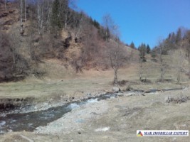 teren-extravilan-175-ha-de-vanzare-rucar-rausor-arges-ideal-pentru-proiecte-agricole-extinse-sau-turism-rural-4