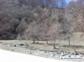 teren-extravilan-175-ha-de-vanzare-rucar-rausor-arges-ideal-pentru-proiecte-agricole-extinse-sau-turism-rural-5