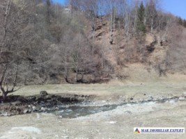 teren-extravilan-175-ha-de-vanzare-rucar-rausor-arges-ideal-pentru-proiecte-agricole-extinse-sau-turism-rural-6