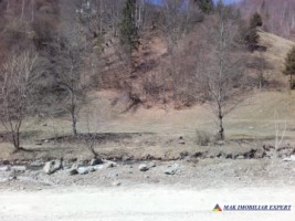 teren-extravilan-175-ha-de-vanzare-rucar-rausor-arges-ideal-pentru-proiecte-agricole-extinse-sau-turism-rural-7