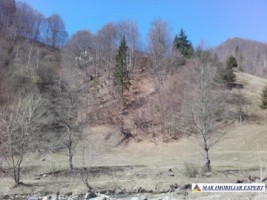 teren-extravilan-175-ha-de-vanzare-rucar-rausor-arges-ideal-pentru-proiecte-agricole-extinse-sau-turism-rural-8