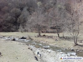 teren-extravilan-175-ha-de-vanzare-rucar-rausor-arges-ideal-pentru-proiecte-agricole-extinse-sau-turism-rural-9