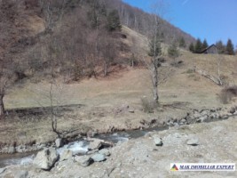 teren-extravilan-175-ha-de-vanzare-rucar-rausor-arges-ideal-pentru-proiecte-agricole-extinse-sau-turism-rural-10