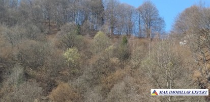 teren-extravilan-175-ha-de-vanzare-rucar-rausor-arges-ideal-pentru-proiecte-agricole-extinse-sau-turism-rural-12