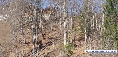 teren-extravilan-175-ha-de-vanzare-rucar-rausor-arges-ideal-pentru-proiecte-agricole-extinse-sau-turism-rural-13