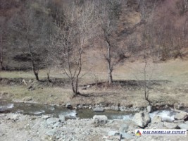 teren-extravilan-175-ha-de-vanzare-rucar-rausor-arges-ideal-pentru-proiecte-agricole-extinse-sau-turism-rural-11