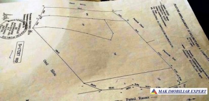 teren-extravilan-175-ha-de-vanzare-rucar-rausor-arges-ideal-pentru-proiecte-agricole-extinse-sau-turism-rural-15
