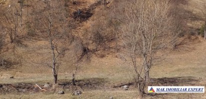 teren-extravilan-175-ha-de-vanzare-rucar-rausor-arges-ideal-pentru-proiecte-agricole-extinse-sau-turism-rural-14