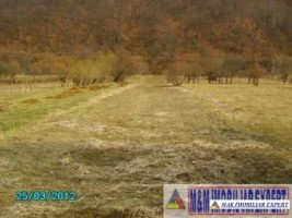 teren-4600-mp-intraextravilan-de-vanzare-pe-lunca-dragoslavele-arges-potential-pentru-dezvoltari-imobiliare-1