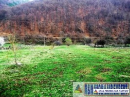 teren-4600-mp-intraextravilan-de-vanzare-pe-lunca-dragoslavele-arges-potential-pentru-dezvoltari-imobiliare-2