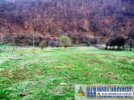 teren-4600-mp-intraextravilan-de-vanzare-pe-lunca-dragoslavele-arges-potential-pentru-dezvoltari-imobiliare-3