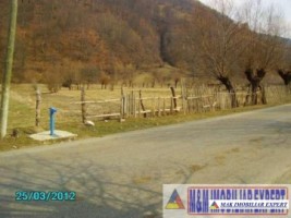 teren-4600-mp-intraextravilan-de-vanzare-pe-lunca-dragoslavele-arges-potential-pentru-dezvoltari-imobiliare-4