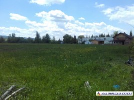 vand-teren-intravilan-133-ha-calea-pietroasa-campulung-muscel-ideal-pentru-dezvoltare-rezidentiala-sau-turistica-2
