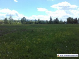 vand-teren-intravilan-133-ha-calea-pietroasa-campulung-muscel-ideal-pentru-dezvoltare-rezidentiala-sau-turistica-5