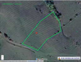 vand-teren-exclusivitate-369-ha-campulung-v-romanestilot-cretisoara-magura-iorguleasa-arges-ideal-pentru-afacere