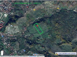 vand-teren-exclusivitate-369-ha-campulung-v-romanestilot-cretisoara-magura-iorguleasa-arges-ideal-pentru-afacere-3