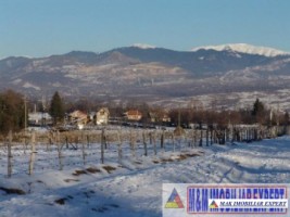 teren-1500-mp-intravilan-campulung-1