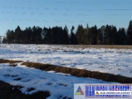 teren-1500-mp-intravilan-campulung-4