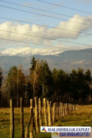teren-1500-mp-intravilan-campulung-2
