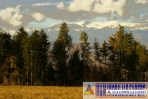 teren-1500-mp-intravilan-campulung-3