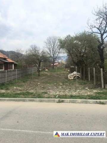 gasca-zurli-vandut