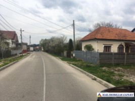 gasca-zurli-vandut-5