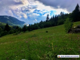 nu-colaboreaza-teren-2004-mp-2-lotu-x-1002-mp-intravilan-dambovicioara-valea-cheii