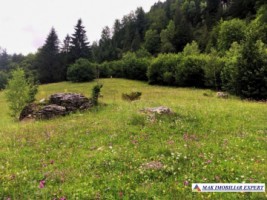 nu-colaboreaza-teren-2004-mp-2-lotu-x-1002-mp-intravilan-dambovicioara-valea-cheii-1
