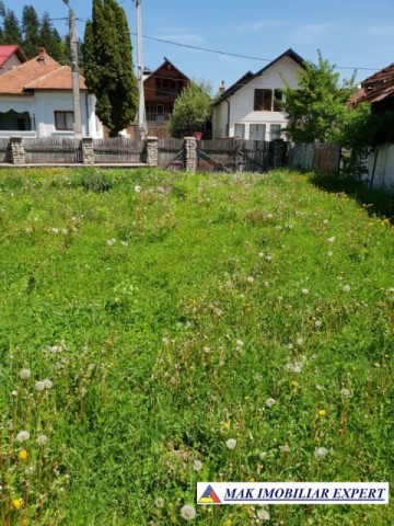 teren-480-mp-inravilan-rucar-1