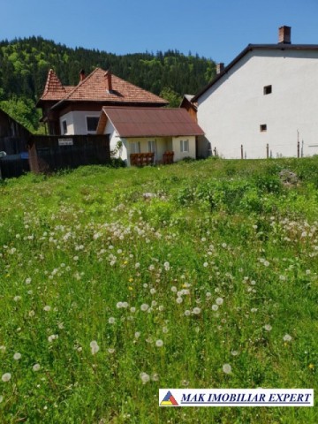 teren-480-mp-inravilan-rucar-5